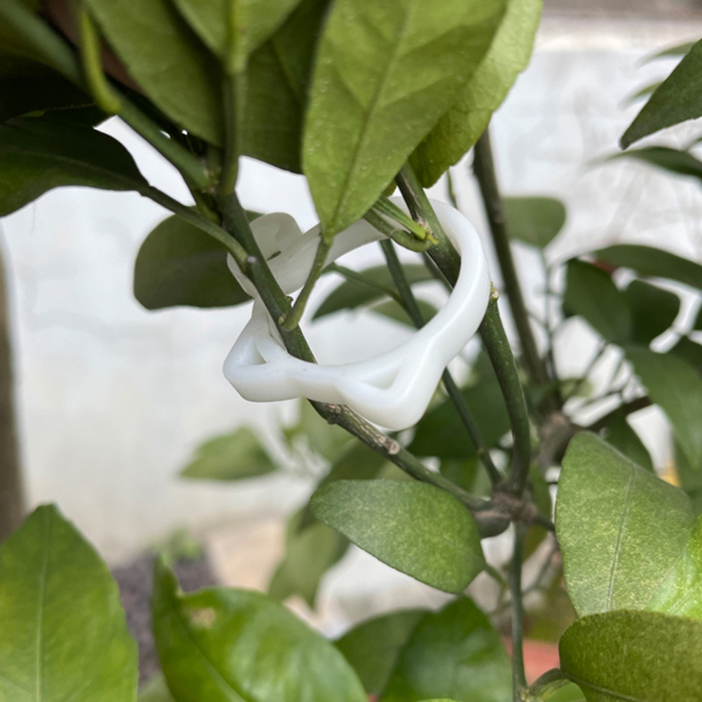 Pflanzenclips Katzenförmige Gartenclips Für Tomaten Und Andere Kletterpflanzen Rankhilfen Für Klettergemüse Für Aufrechtes Und Gesünderes Wachstum