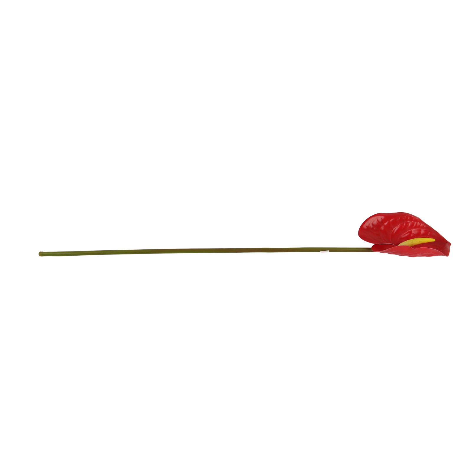 3d-simulation Einer Wohnzimmergestaltung Mit Anthurien Und Einem Flamingoblumenstrauß