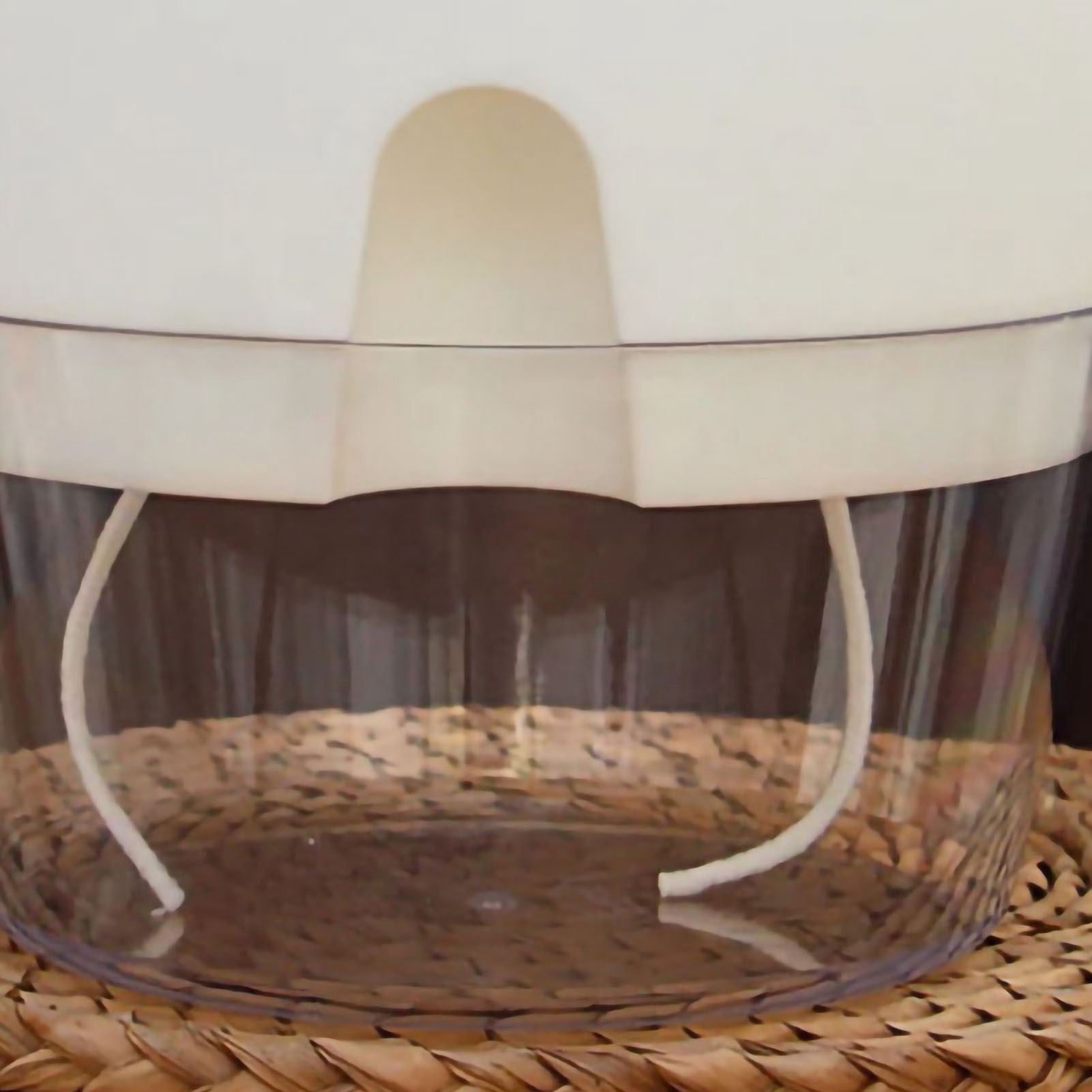 Großer, Weißer, Doppelwandiger, Herausnehmbarer, Selbstbewässernder, Transparenter Kunststoff-blumentopf Für Balkone