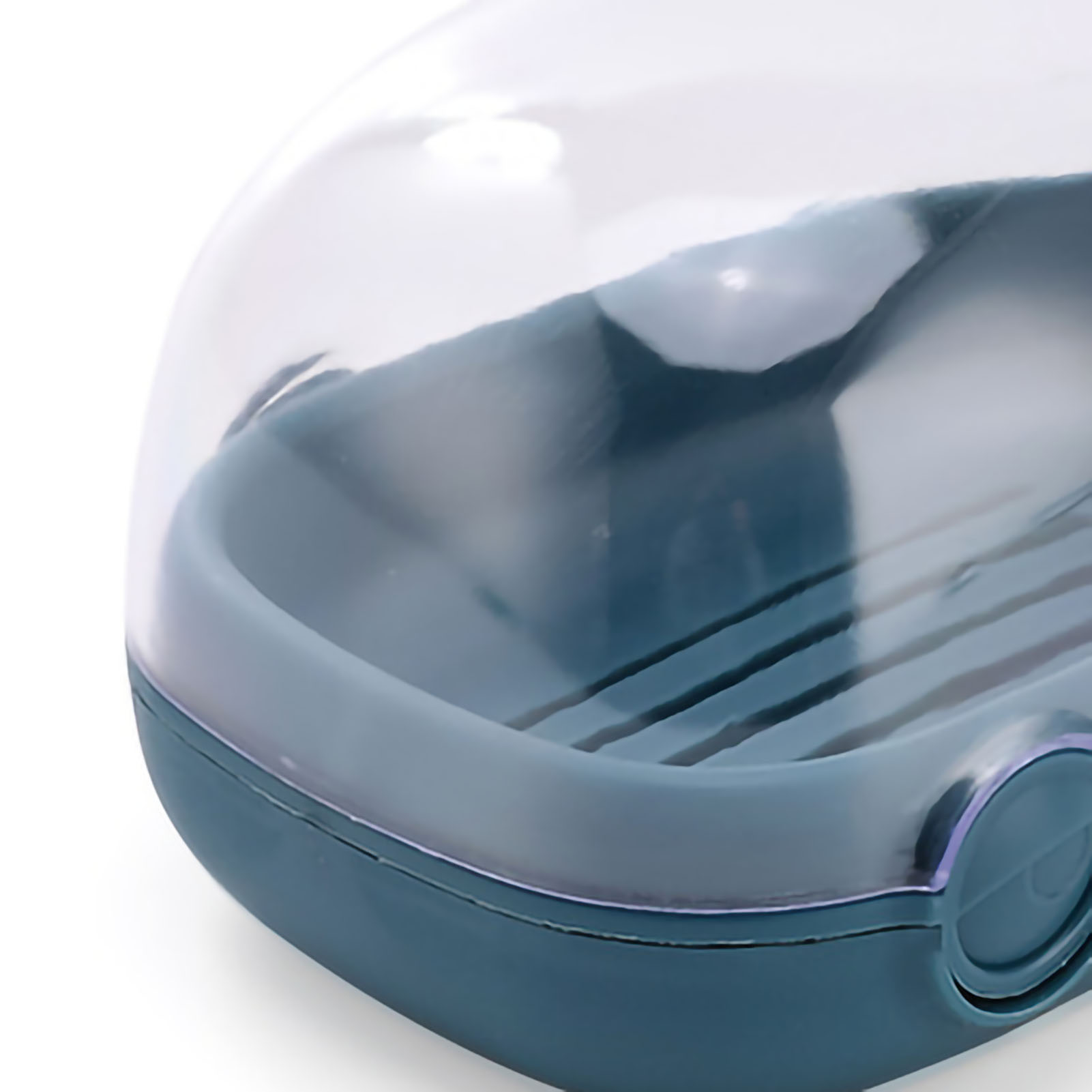 Niedliche Und Farbenfrohe Seifenbox In Walform Mit Zwei Fächern, Wasserdicht Und Mit Klappdeckel, Ideal Fürs Badezimmer (blau).