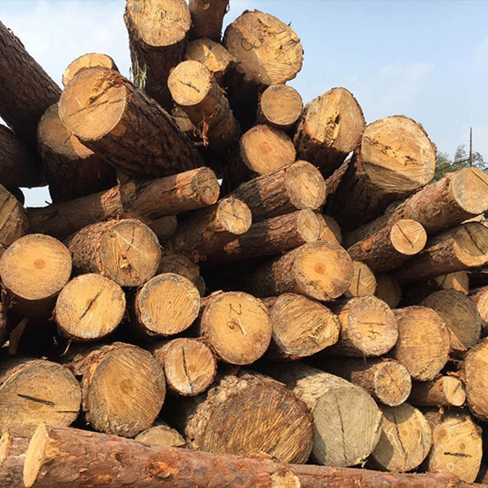 Mehrstufiger Pflanzenständer Aus Holz, Blumenregal Für Wohnzimmer, Balkon, Terrasse, Garten, Schlichter Stil