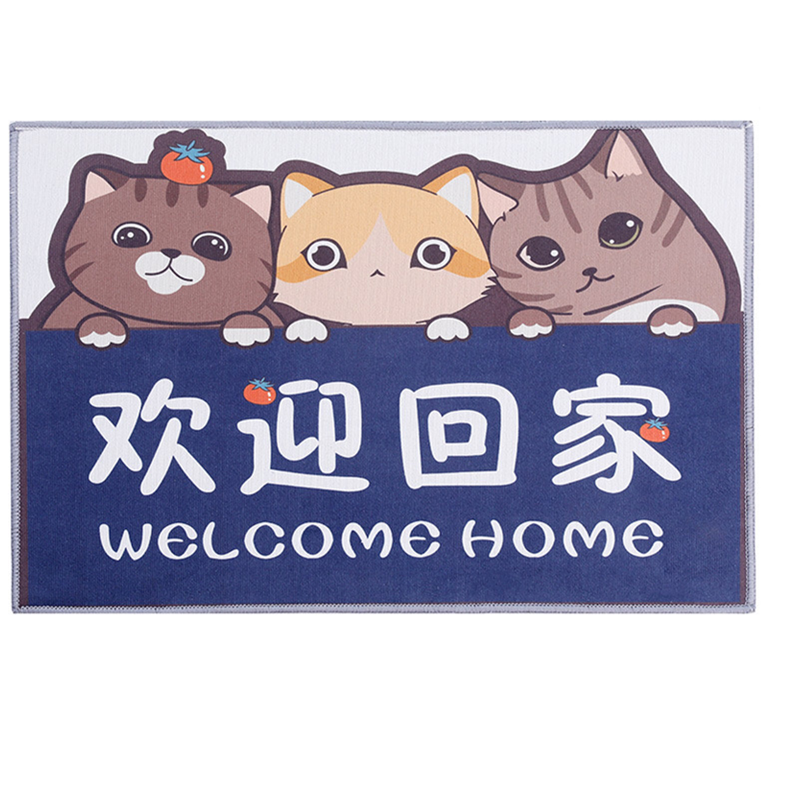 Niedliche, Antiosmosebeständige Und Rutschfeste Fußmatte Aus Kristallvelours, Für Schlafzimmer, Badezimmer Und Katzen.