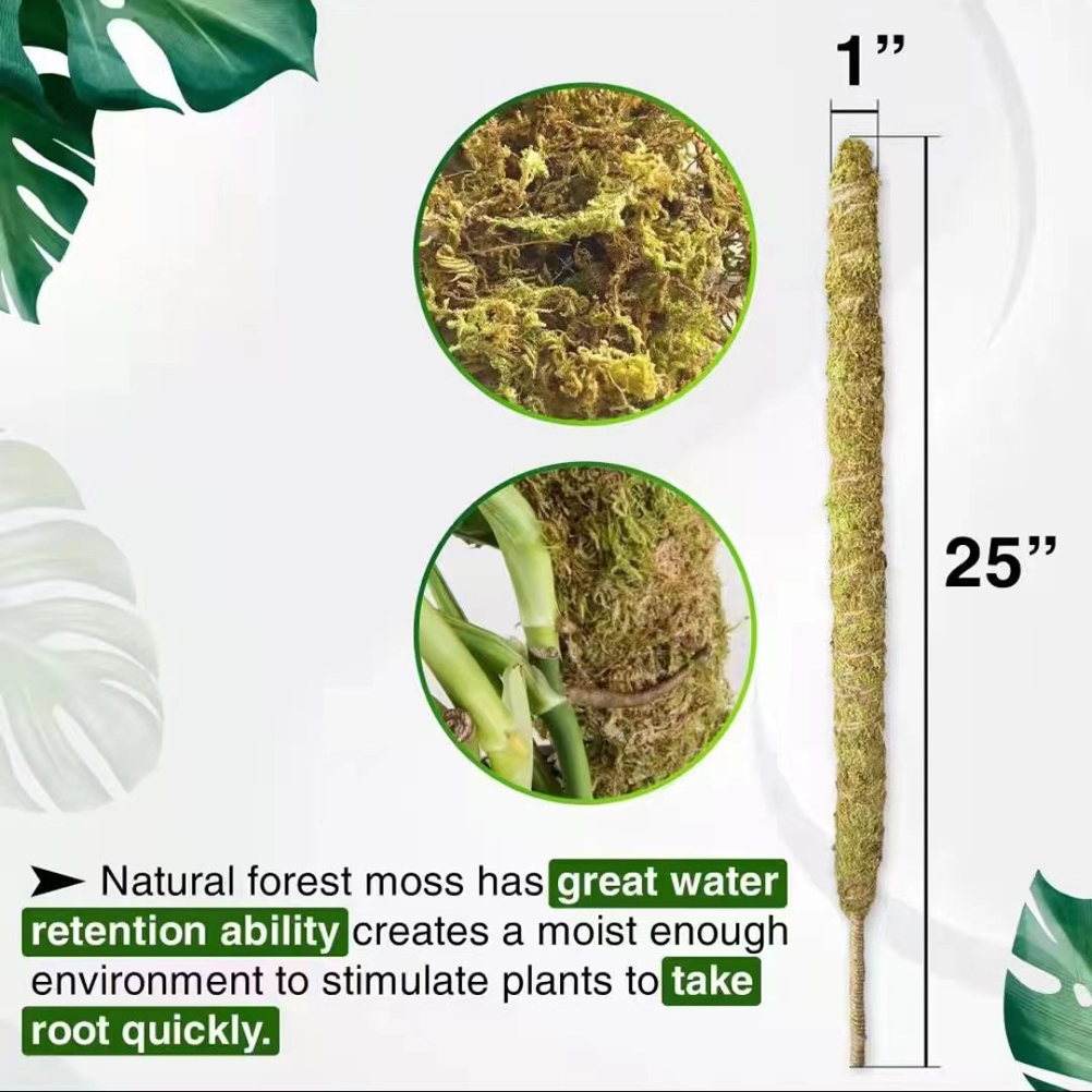 Stück Moosstab Aus Echtem Moos Für Monstera, Biegsamer Pflanzenstab, Moosstab, Topfpflanzenstütze, Perfekt Für Kletterpflanzen Im Innenbereich
