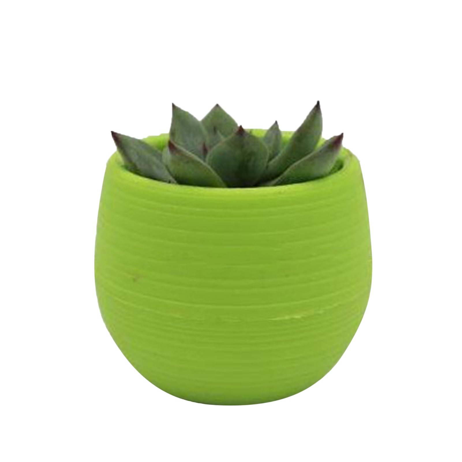 Sukkulententopf, Mini-setzlingsblumentopf, Kunststoffblumentopf Für Garten, Hof, Balkon, Grün
