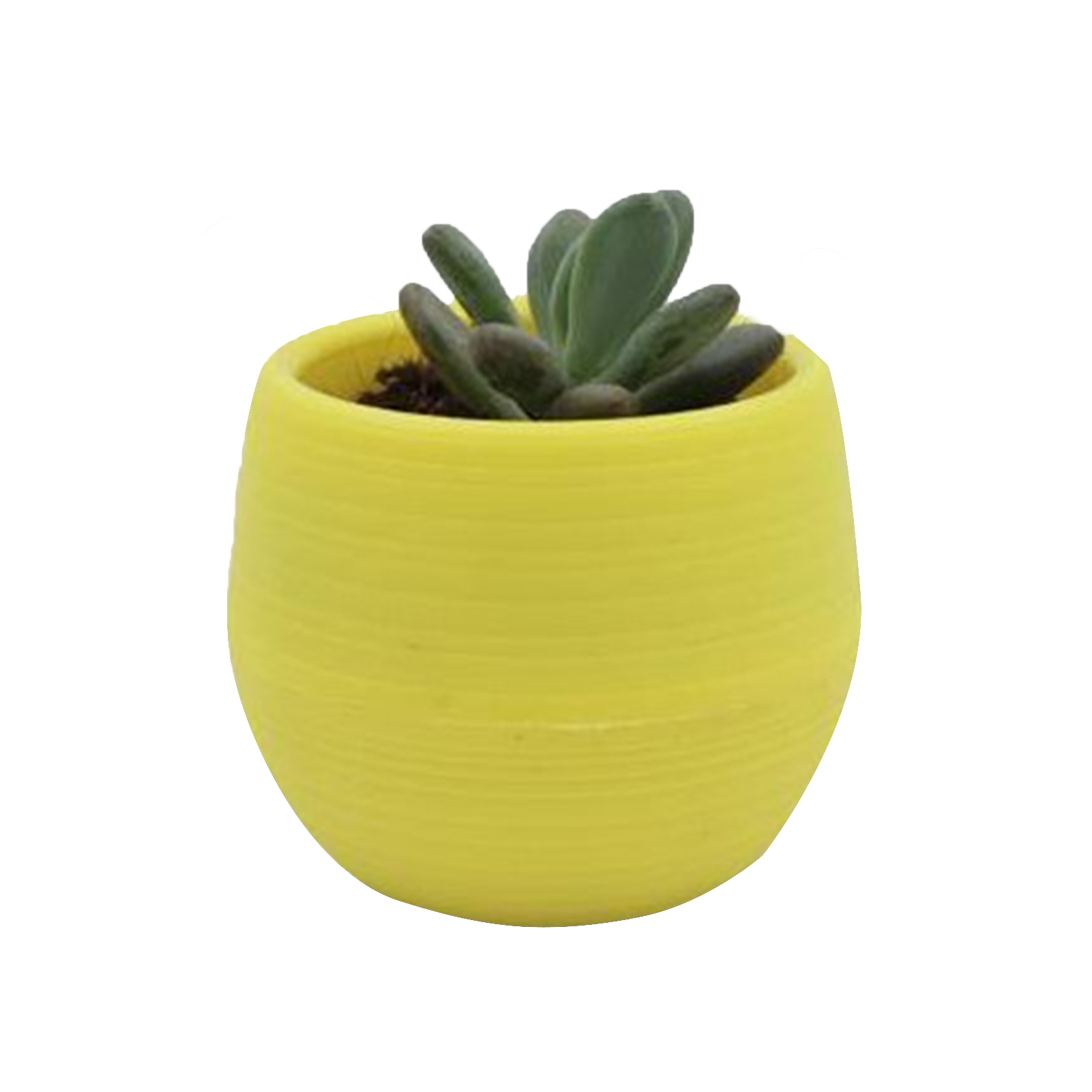 Sukkulententopf, Mini-anzuchttopf, Kunststoff-blumentopf Für Garten, Hof, Balkon, Gelb