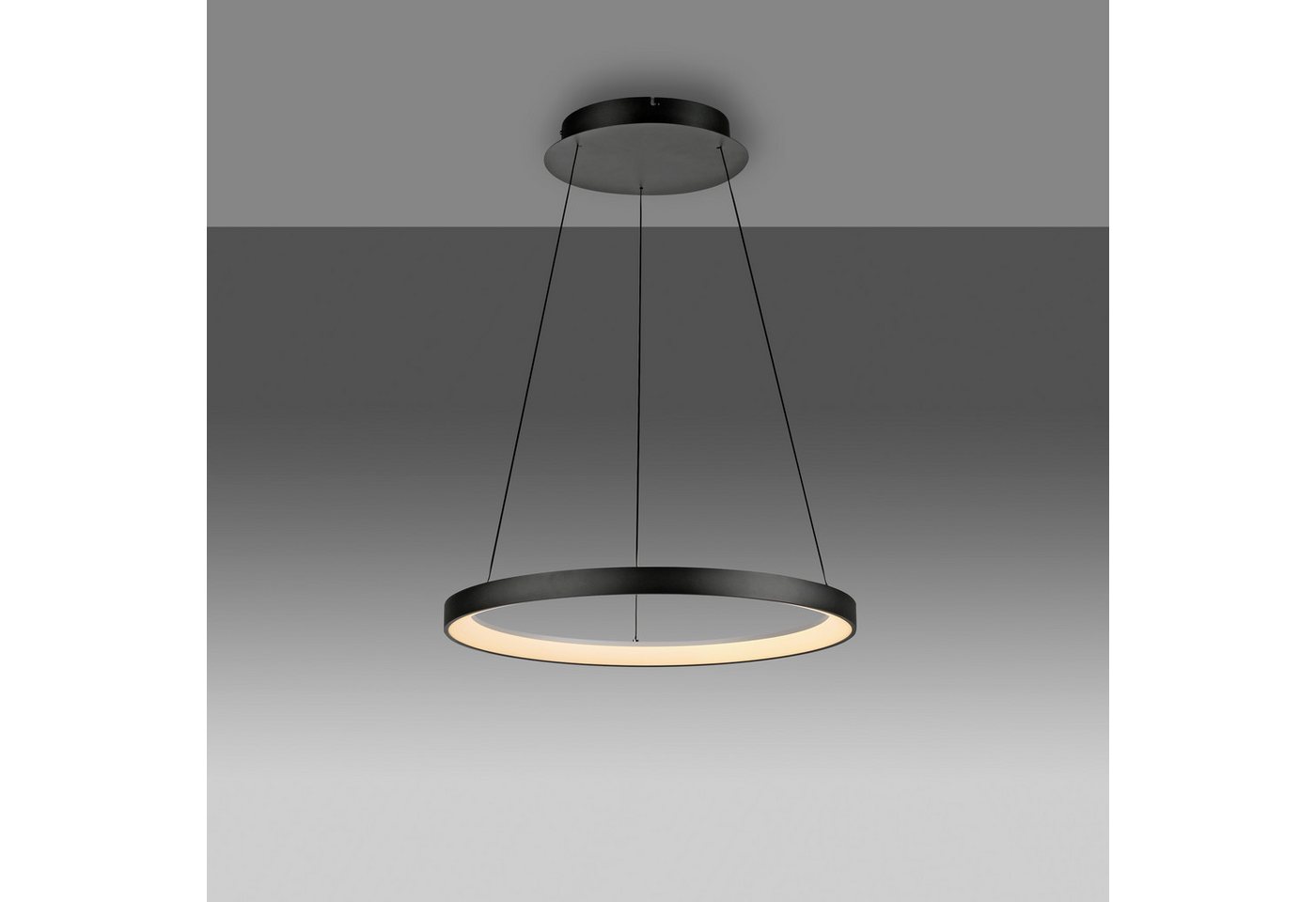 Paul Neuhaus Pendelleuchte HOOP, Dimmfunktion, LED fest integriert, Warmweiß, LED, dimmbar, Simply Dim, Memory, nach Trennung vom Netz, Comfort Lift Bild 3