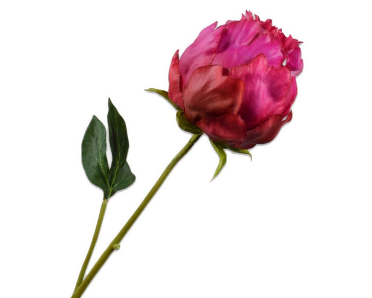 Künstliche Zimmerpflanze Seidenblume Pfingstrose Knospe Pink (58cm), SILK-KA