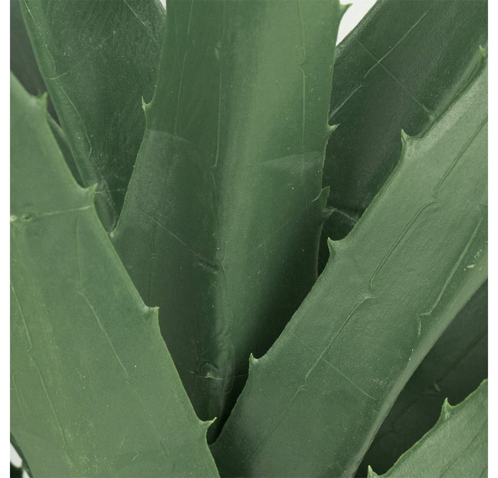 Künstliche Zimmerpflanze Aloe Vera Kunstpflanze Plastikpflanze Künstliche Pflanze 45 - 120 cm Aloe Vera, Decovego, Höhe 55 cm Bild 5