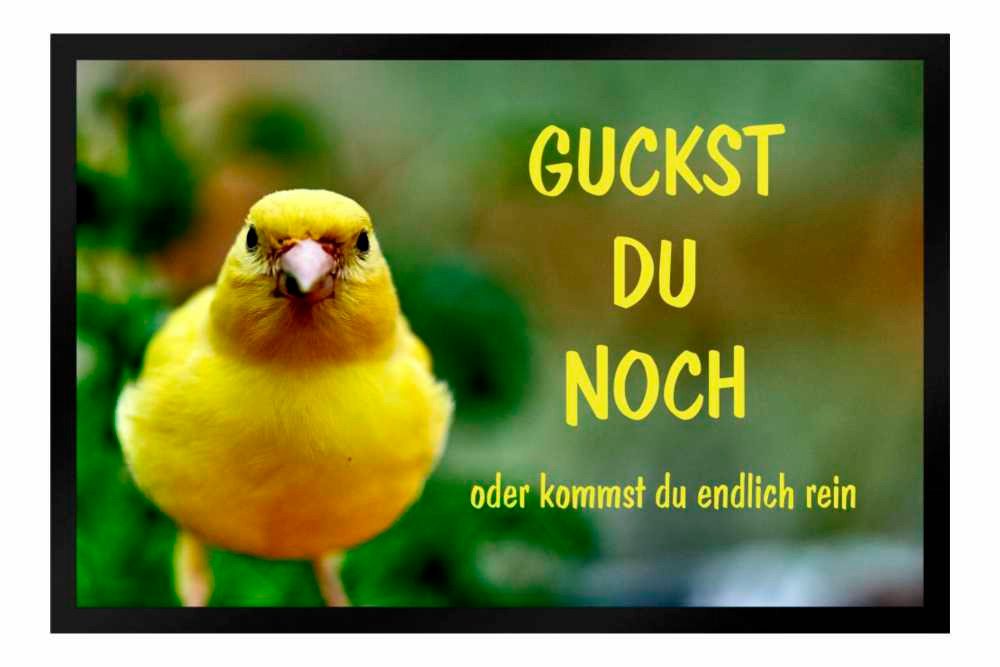 Ladreas Fußmatte Schmutzfangmatte Guckst du noch Vogel F545, 60x40