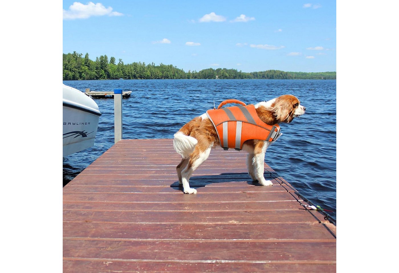 LuxusKollektion Schwimmweste Schwimmweste Hund Auftrieb Sicherheit klein mittel groß L Orange
