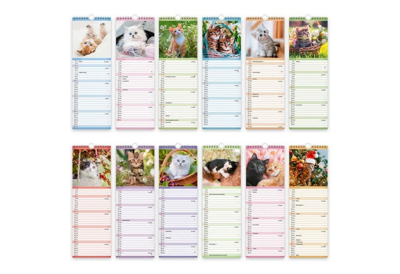 Trötsch Verlag Wandkalender TRÖTSCH - Streifenkalender Katzen 2027 Notizkalender Bild 2