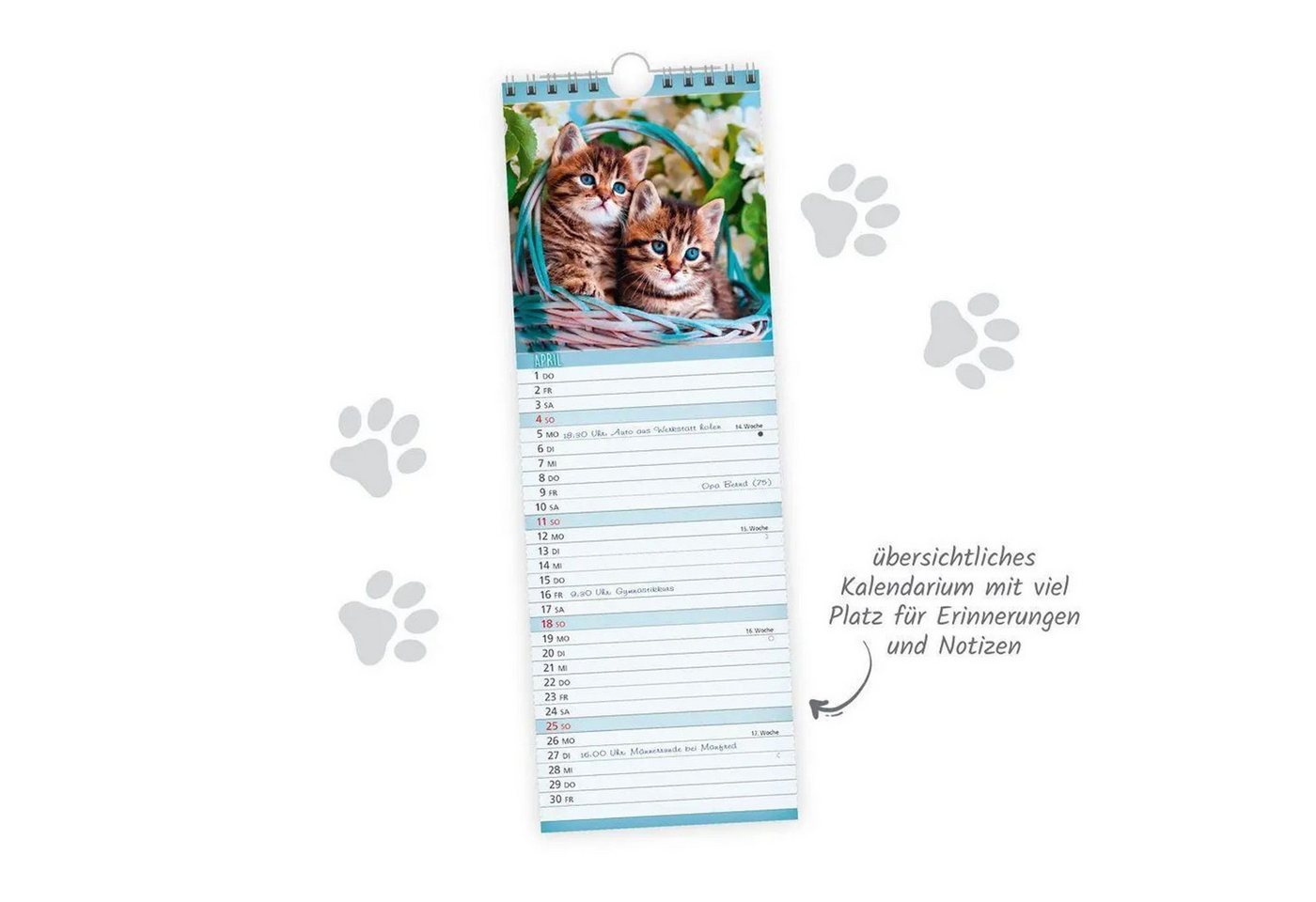 Trötsch Verlag Wandkalender TRÖTSCH - Streifenkalender Katzen 2027 Notizkalender Bild 3