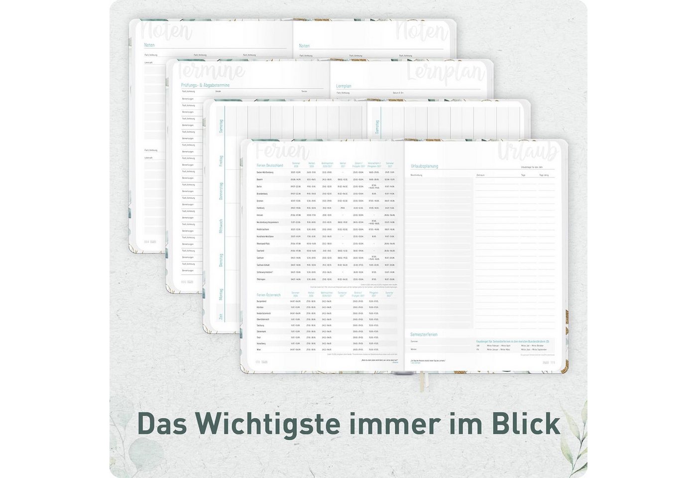 Häfft Schülerkalender Häfft-Timer Jugendkalender 2026/2027 / A5