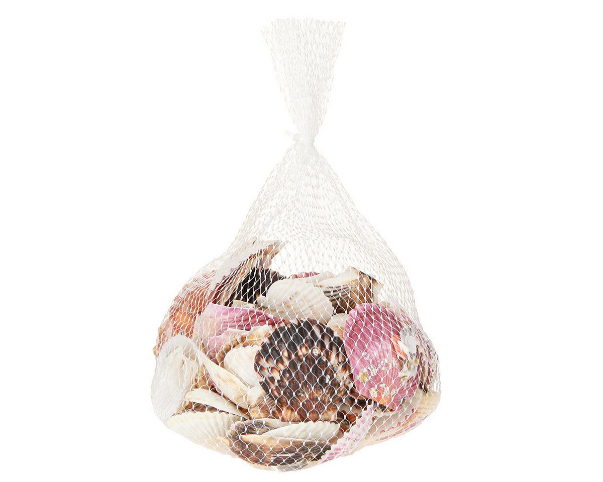 Posiwio Bastelnaturmaterial Herzmuscheln zum Basteln und Dekorieren für maritime Bild 3