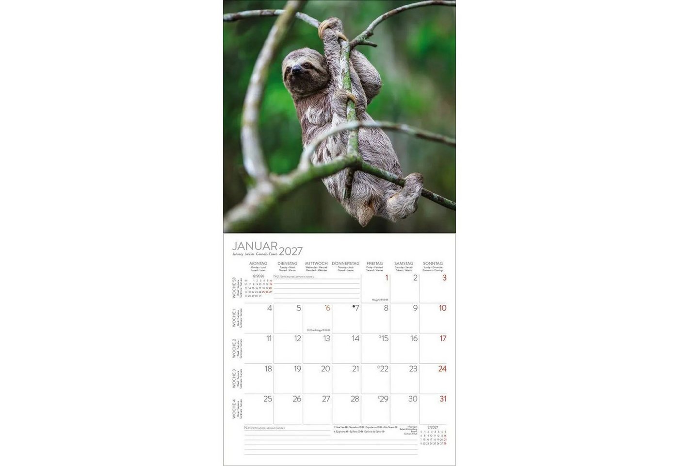 Korsch Verlag Wandkalender Faultier 2027 Bild 3