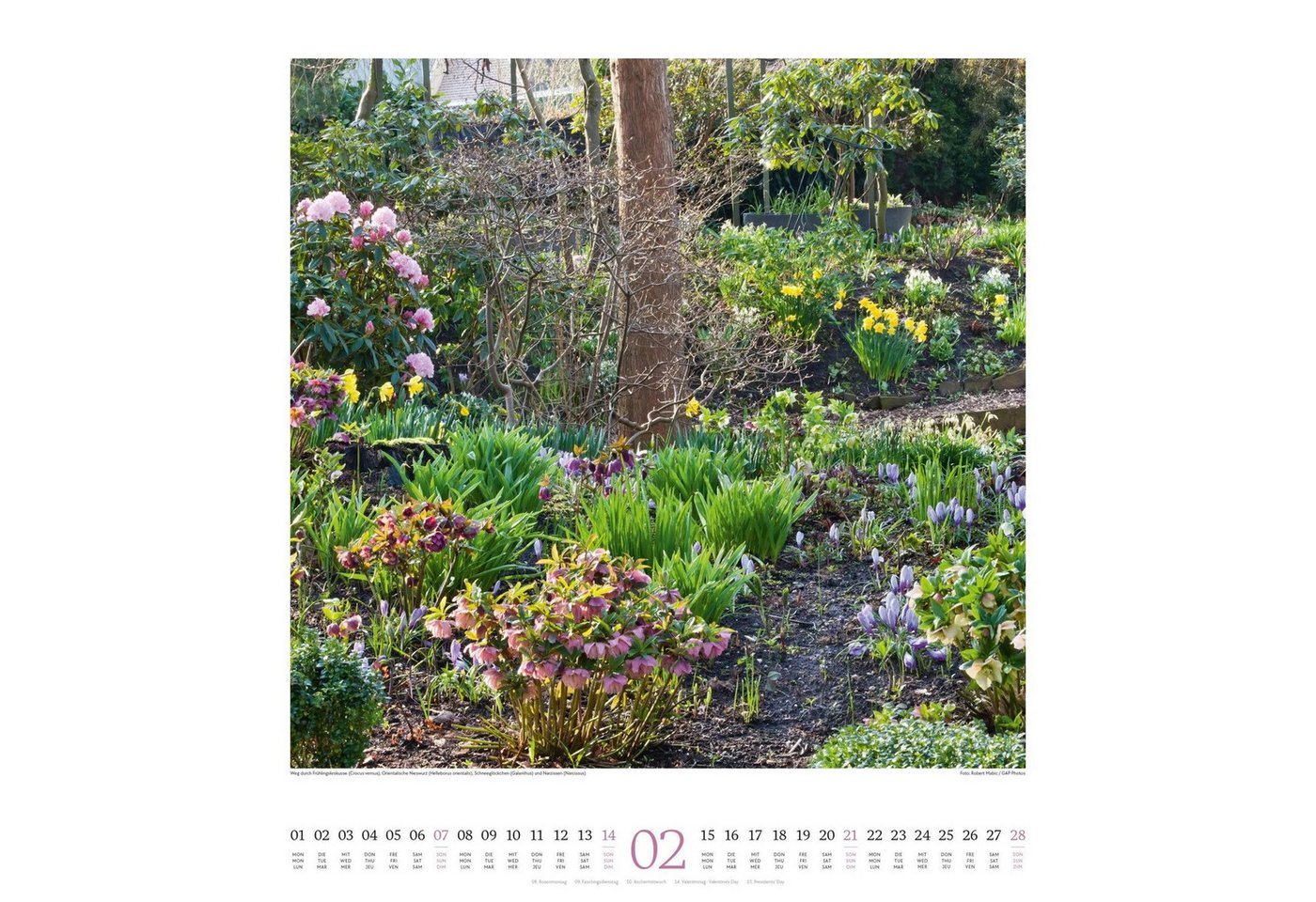 Ackermann Wandkalender Paradiesische Gärten Kalender 2027 Bild 4