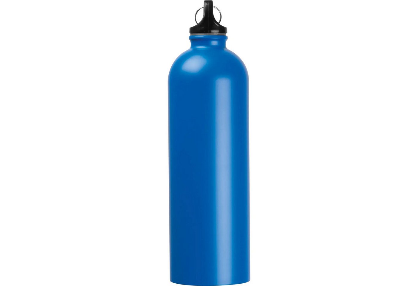 Easy Gifts Trinkflasche Edelstahl Trinkflasche / mit Karabiner / 750ml / Farbe blau Bild 3