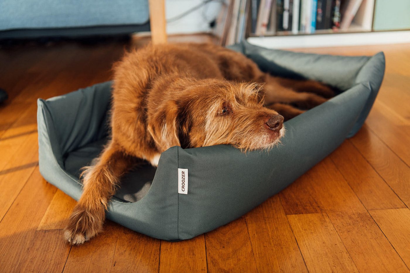 Croozer Fahrradhundeanhänger Hundebett für Dog Tammo - Farbe: Moonlight Bild 4