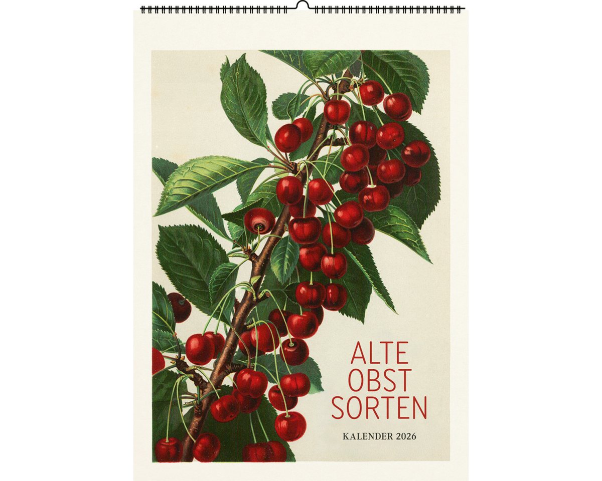 Wandkalender Alte Obstsorten. Wandkalender 2026