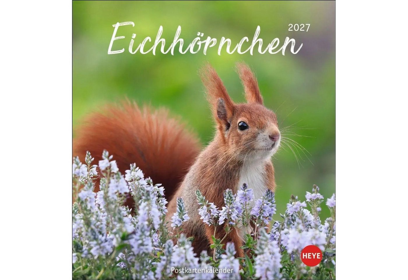 HEYE Wandkalender Eichhörnchen Postkartenkalender 2027 Bild 4