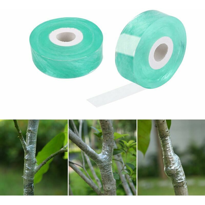 Veredelungsband, 2 Stück 2 Cm X 100 M Biologisch Abbaubares Elastisches Selbstklebendes Anzuchtband, Sicher Und Umweltfreundlich (grün)