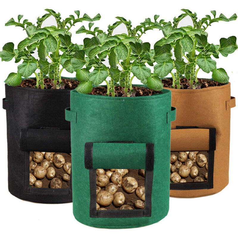 Set Aus 3 Nicht Gewebten Kartoffelpflanzsäcken Mit Klappe Und Griffen, Apfelfarbe.