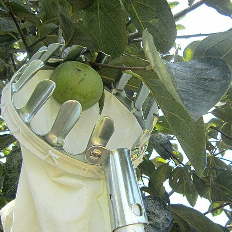 Obstpflücker, Obstpflücker Aus Metall Mit Pflücksack Für Äpfel, Zitrusfrüchte, Birnen, Pfirsiche, Gartengeräte