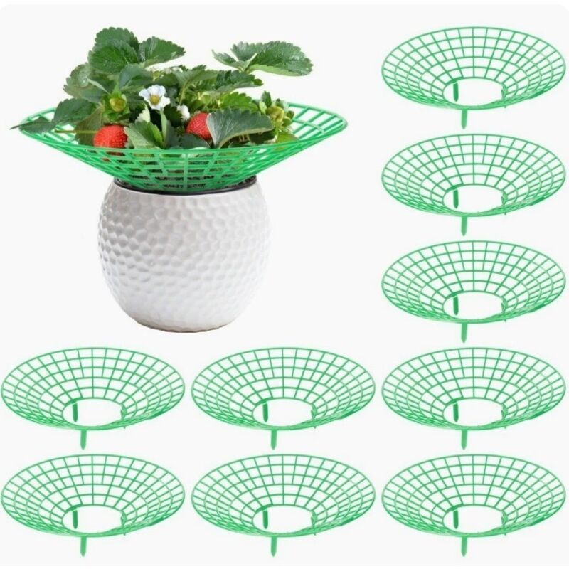 9-teiliges Erdbeerpflanzen-stützset, Abnehmbare Erdbeerstützen Aus Kunststoff, 30,6 Cm Durchmesser, Anzuchtstütze Für Erdbeeren, Gemüse, Blumen Und Andere Pflanzen (grün)