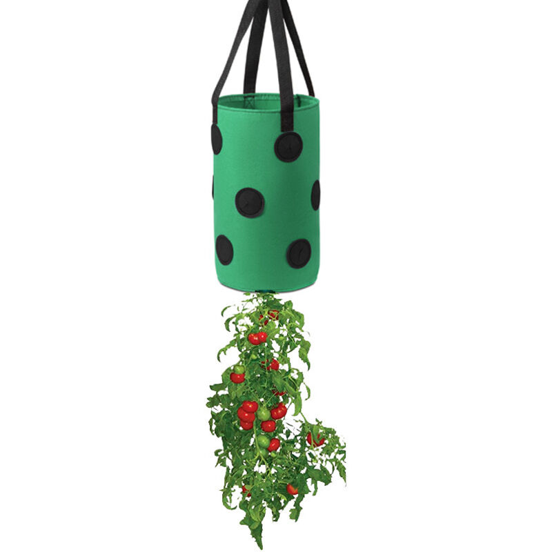 (3 Gallonen, 20 X 35 Cm (13 Löcher), Schwarz-grün Gefärbt) 1 Packung Erdbeer-pflanzbeutel