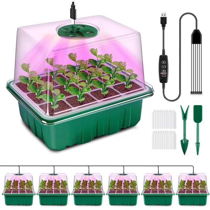 Mini Serre Pour Plantes Avec Lampe, 6 Pièces Serre Semis De Culture Avec Contrôleur De Synchronisation Luminosité Réglable, Épaissir Boite Semis Avec Couvercle Surélevé, Vert