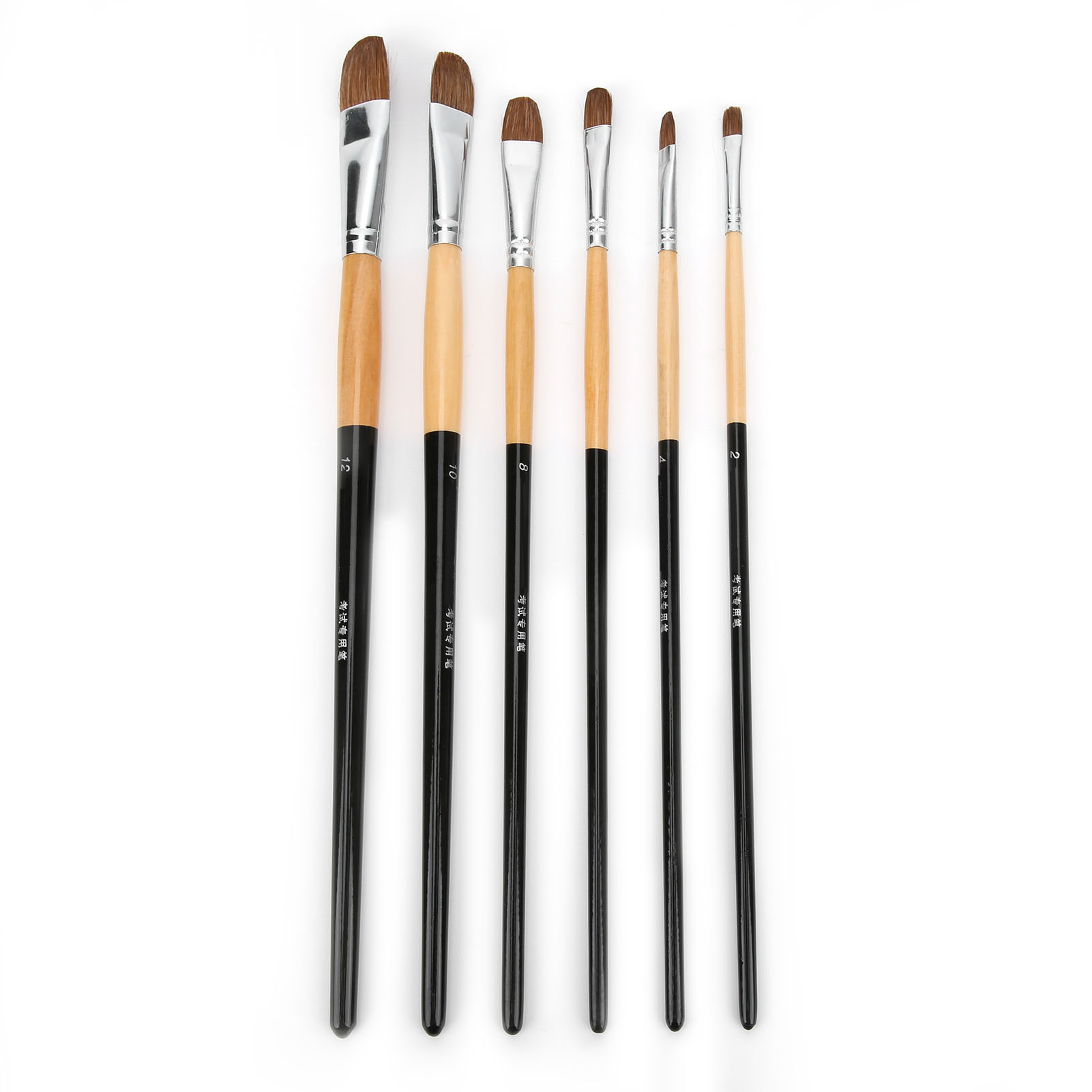 Set Mit 6 Multimodalen Nylonpinseln Für Öl- Und Aquarellmalerei, Inklusive Aufbewahrungsbeutel Aus Kunststoff.
