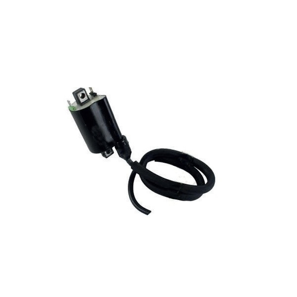 12v Zündspule Für Honda Cb 500, Cbf 500, Fes, Fmx 650, Fx 650, Nps 50, Nsa 700, Nss 250, Nt 700, Sh 150, Slr 650, Vfr, Vt