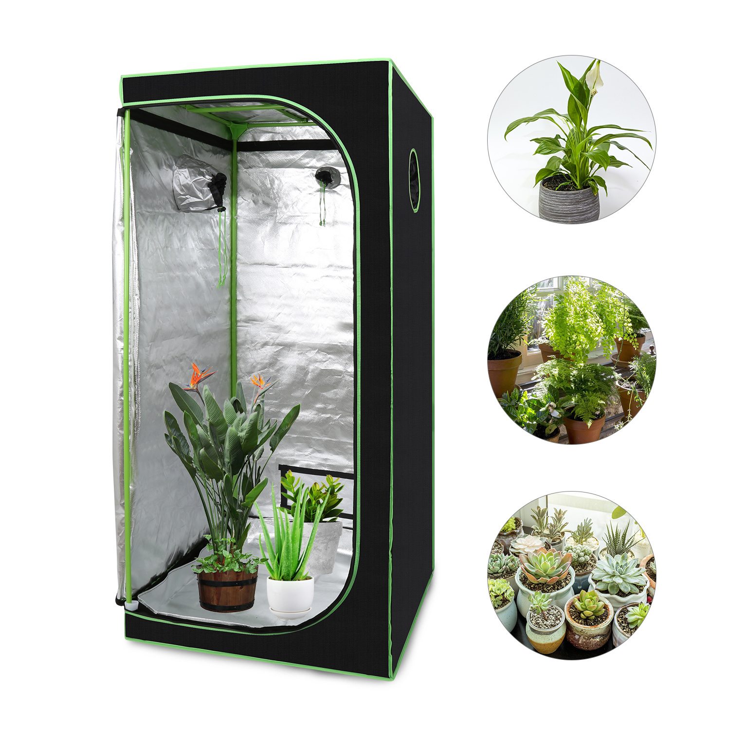 Jiubiaz Growbox 80x80x180cm Pflanzzelt Indoor 600d Oxford, 99,9% Lichtdicht, 95% Reflektierend