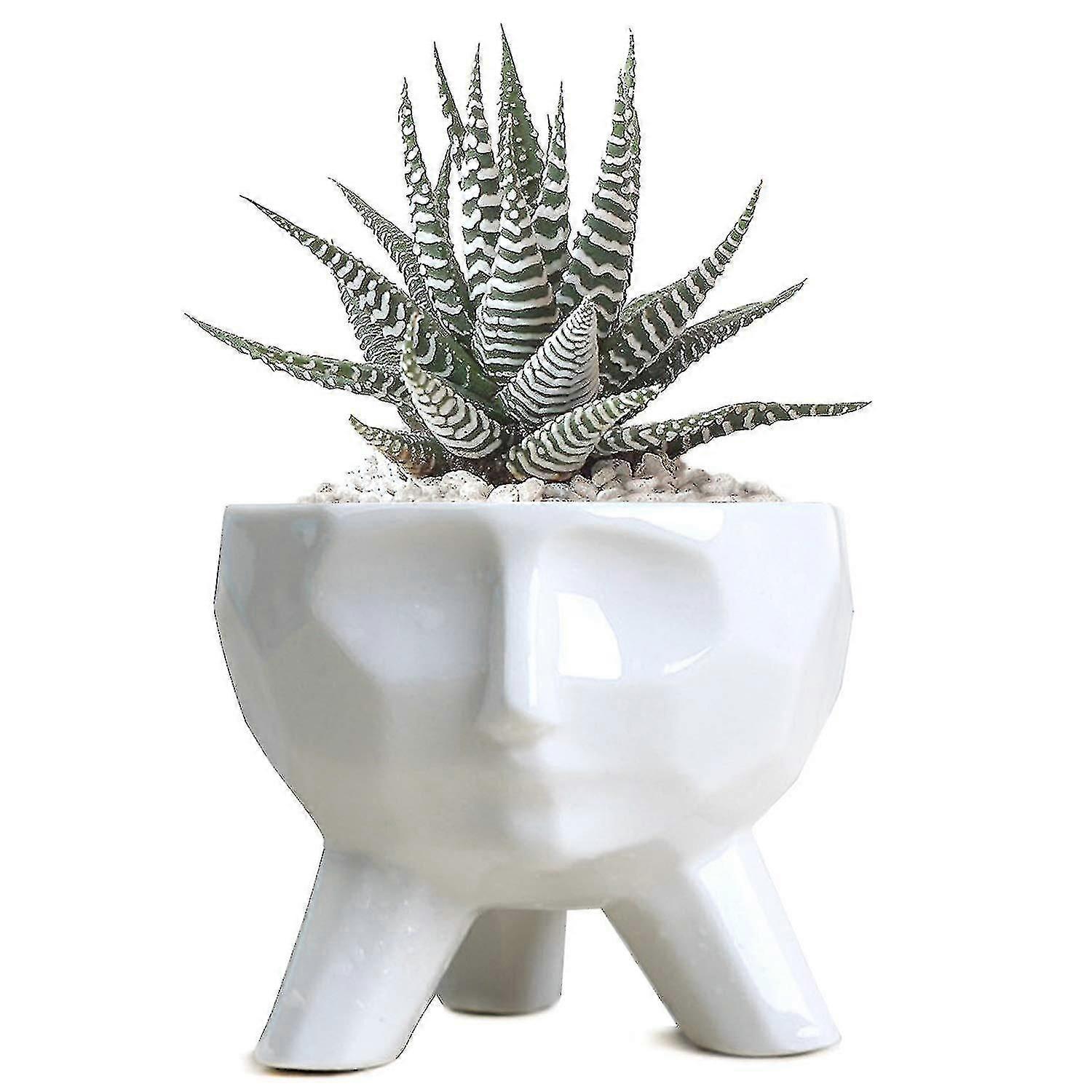 Keramik-pflanztopf Für Sukkulenten-bonsai (größe: S)