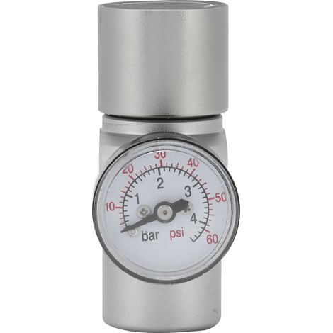 Mini-co2-regler Mit Absperrventil Mfl3/8 Zoll Auf Tr21x4 Für Heimbrauzubehör