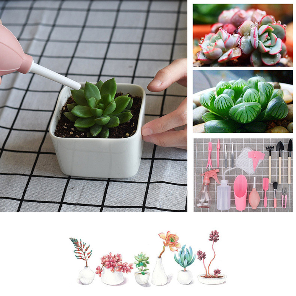 16-teiliges Miniatur-gartenwerkzeugset Für Sukkulenten, Diy-pflanz- Und Pflegeset