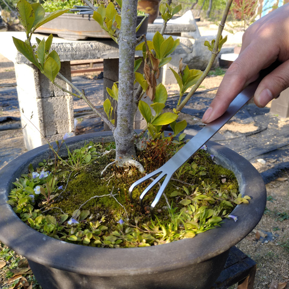 Dreizinkiger Gartenrechen Aus Edelstahl Mit Ergonomischem Griff Für Die Gartenarbeit