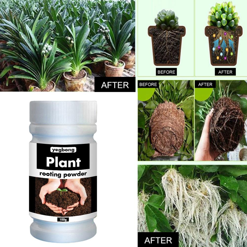 Schnellwurzelpulver, Wurzelstimulator Für Pflanzen Und Blumen, Pflanzdünger Zur Förderung Des Wachstums Und Überlebens Von Blumenstecklingen