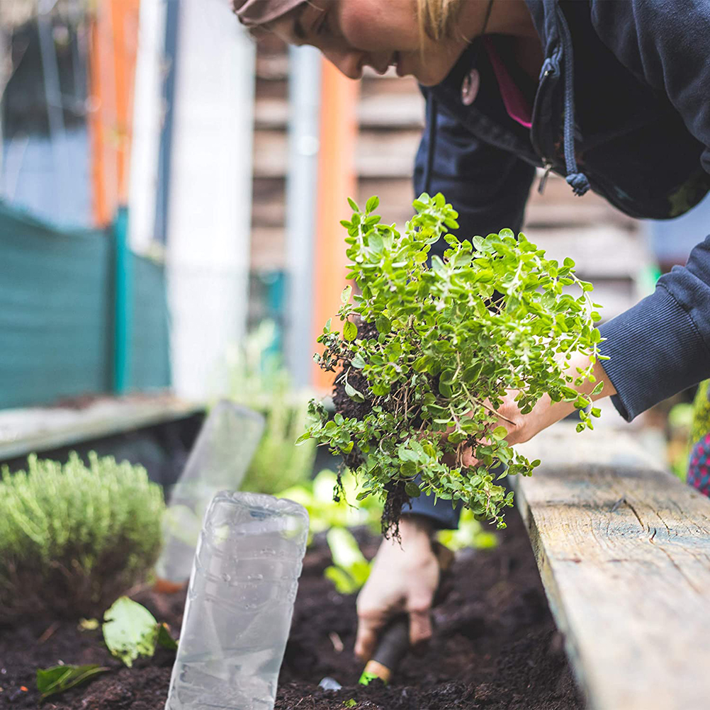 Set Mit 4 Keramik-gartenbewässerungskegeln, Ton-bewässerungsstäben