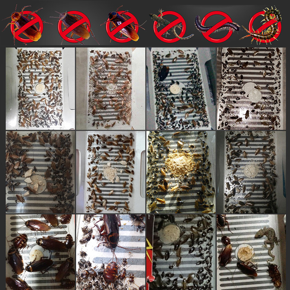 Packung Mit 10 Klebrigen Kakerlakenfallen, Starker Klebefläche, Insektizidköder Gegen Kakerlaken, Insektenfalle