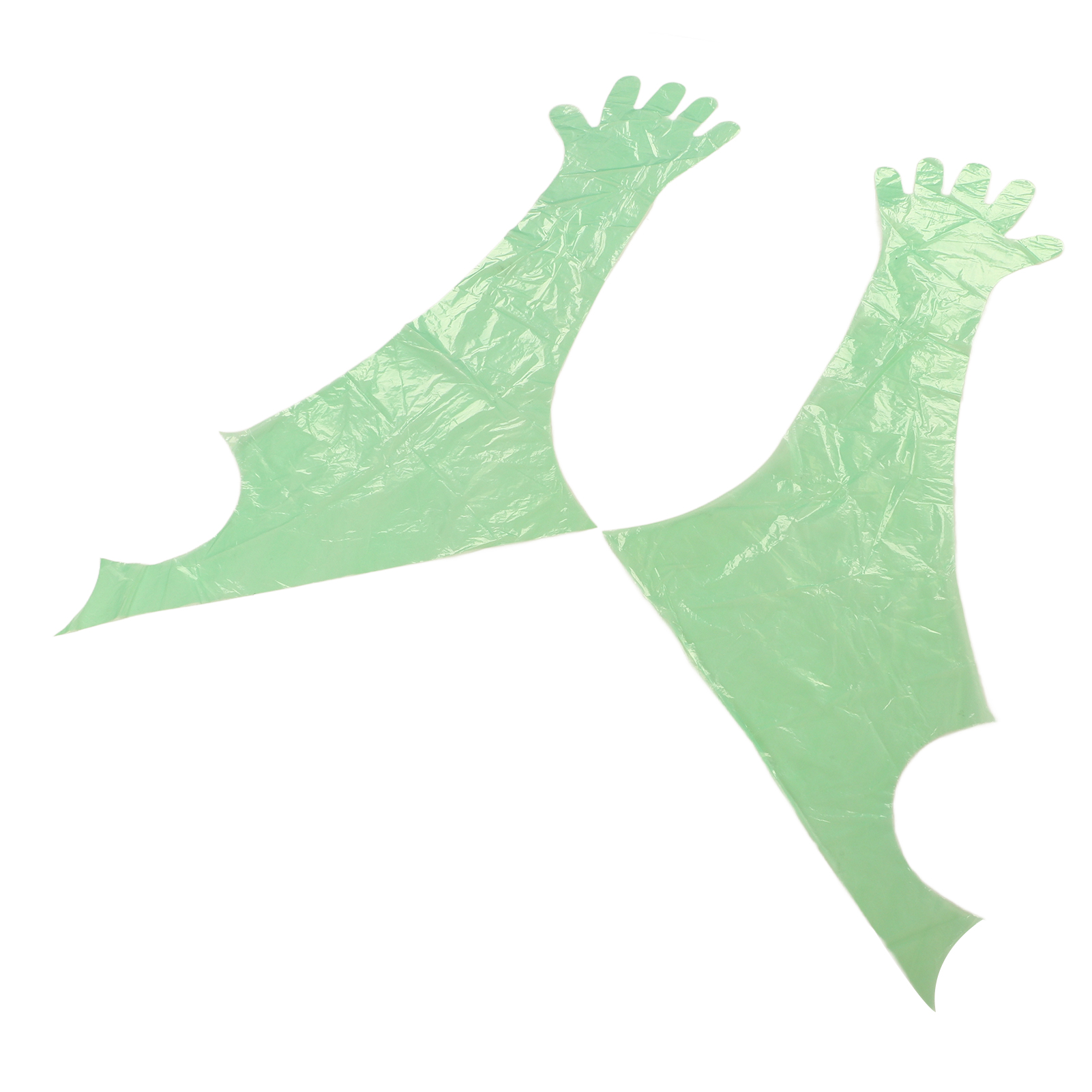 50 Grüne, Lange Einweghandschuhe Aus Polyethylen Für Tierärztliche Untersuchungen Und Künstliche Besamung Von Tieren
