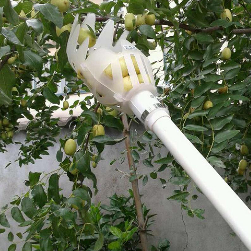 Apfelpflücker Aus Kunststoff, Erntekopf, Obstpflückkorb, Obstsammler