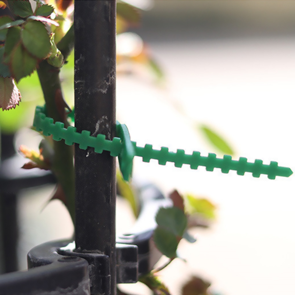 100 Verstellbare Pflanzenbinder, Flexible Gartenbinder, Kabel Zur Stützung Von Rosen Und Sträuchern