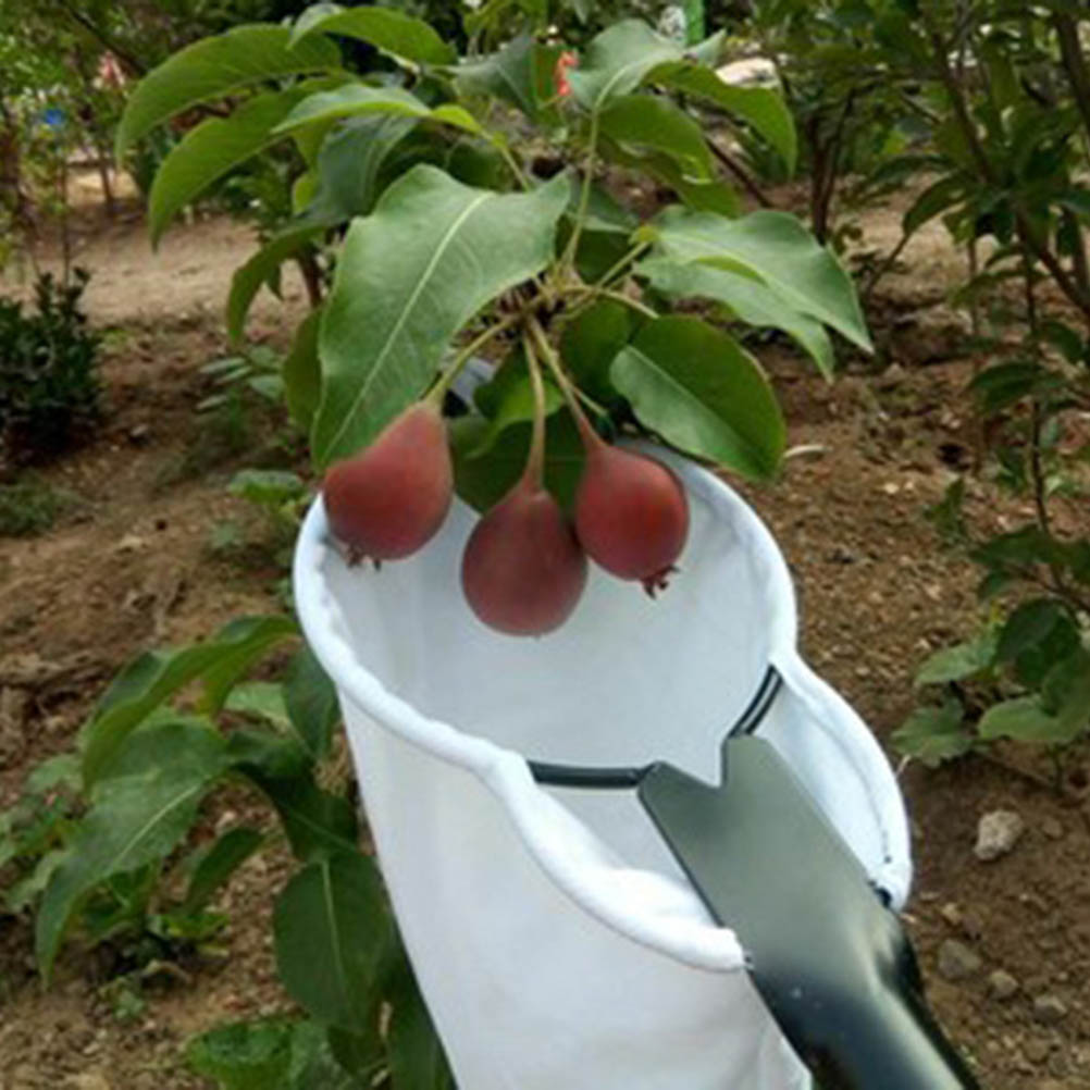 Tragbarer Obstpflücker Aus Metall, Obsternter Mit Fruchtauffangbehälter, Gartengerät Zum Obstpflücken.