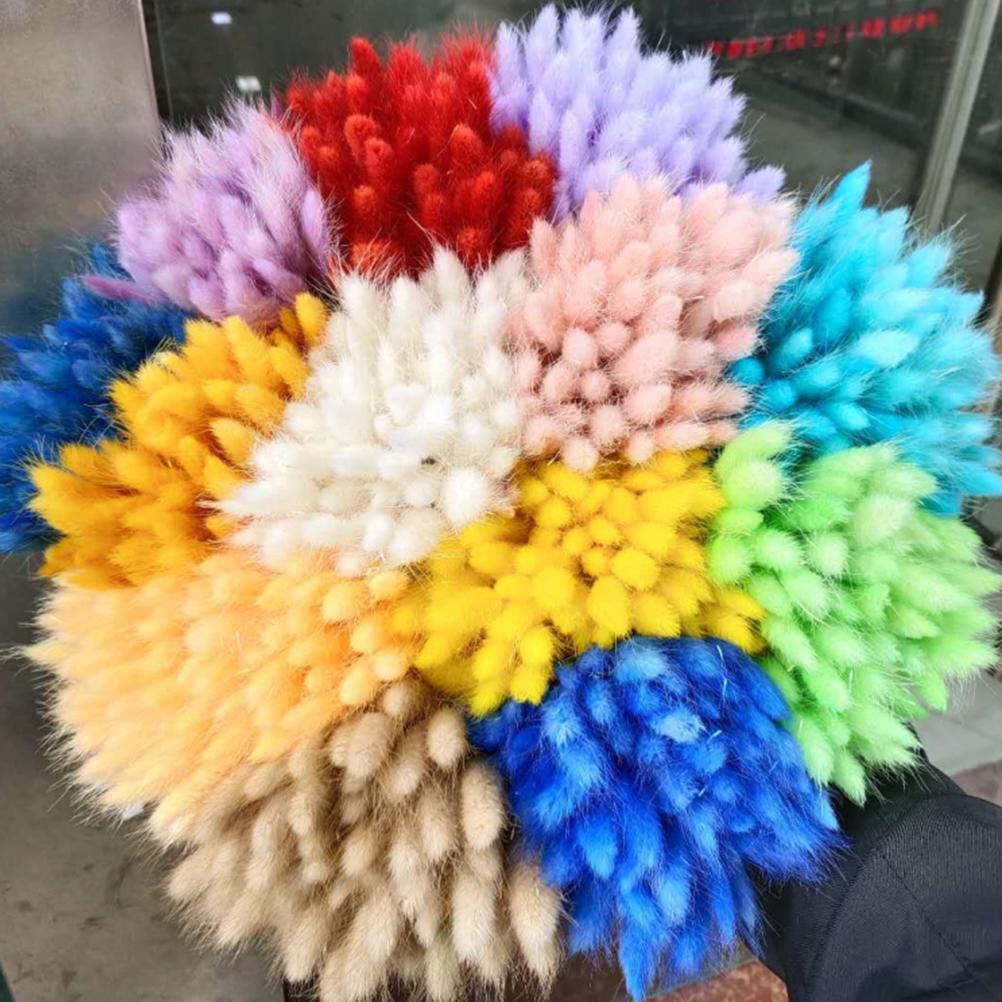 Kleine, Natürlich Getrocknete Pampasrohre, Dekorative Gräser Für Blumendekorationen, Foto-requisiten Für Hochzeitshotels.