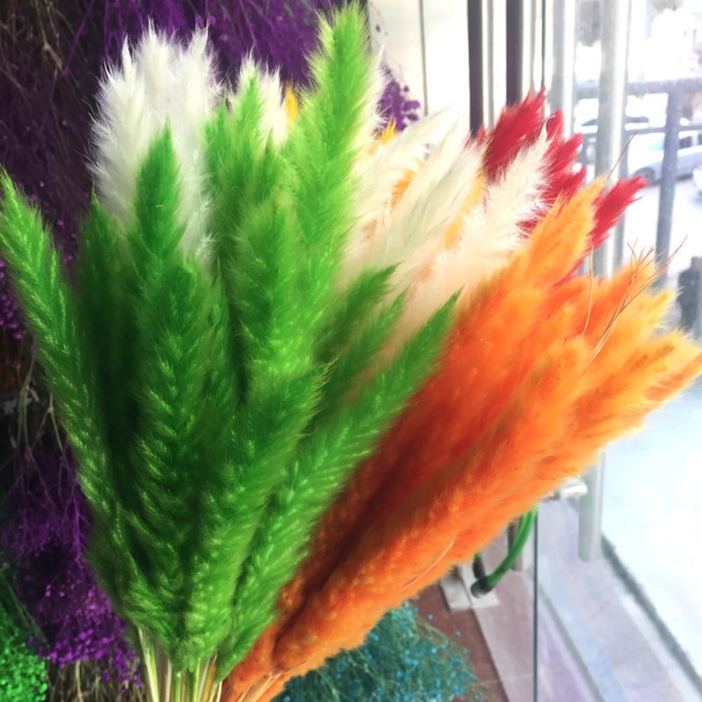Kleine Getrocknete Schilfrohre (phragmites), Natürliche Trockenblumendekoration, Foto-requisiten Für Hotelhochzeiten.