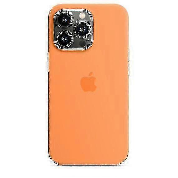 Silikon-handyhülle Für Iphone 13 Pro 13pro (ringelgold)