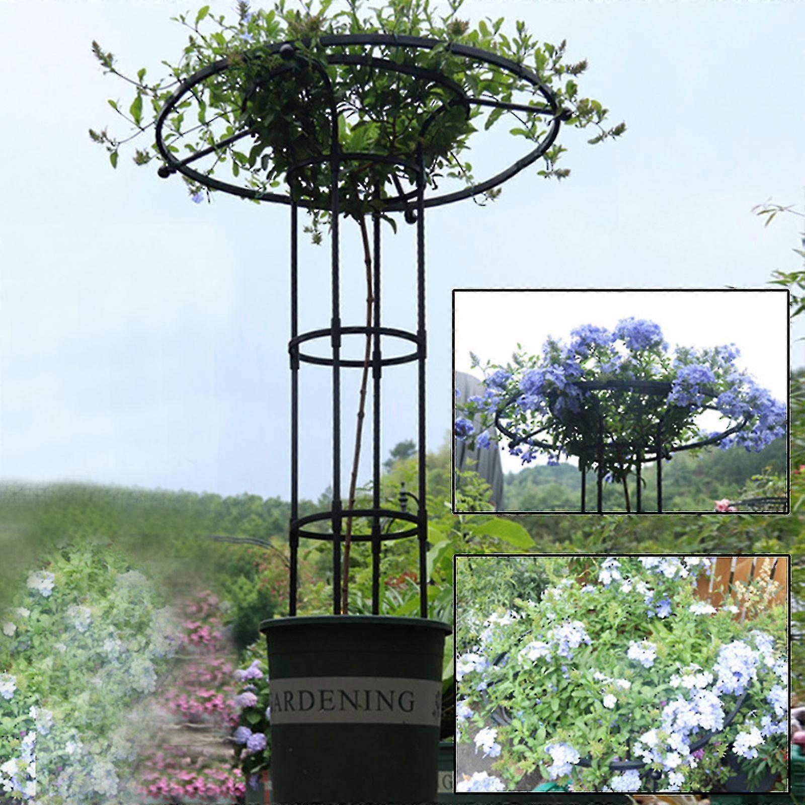 Gartenrankgitter Für Kletterpflanzen Und Blumen, Metall-pflanzenrankgitter Für Den Außenbereich Snngv(90cm )