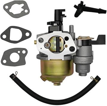 Vergaser 19 Mm Für Motoren 168f 170f 196cc 212cc Mit Gelenken Und Durite