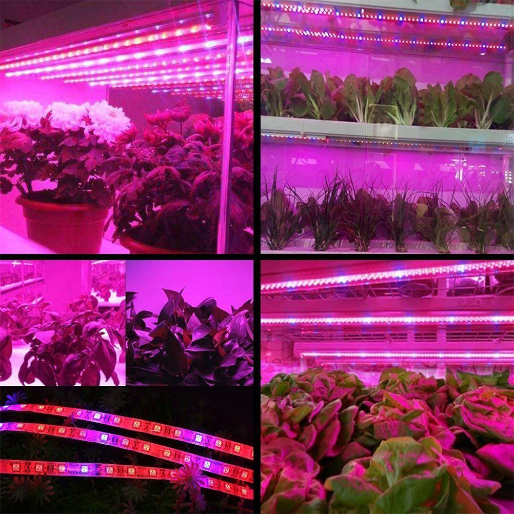 Led-pflanzenwachstumslichtkette 5050 Smd Led-licht Wasserdichte Pflanzenleuchte Für Gewächshäuser